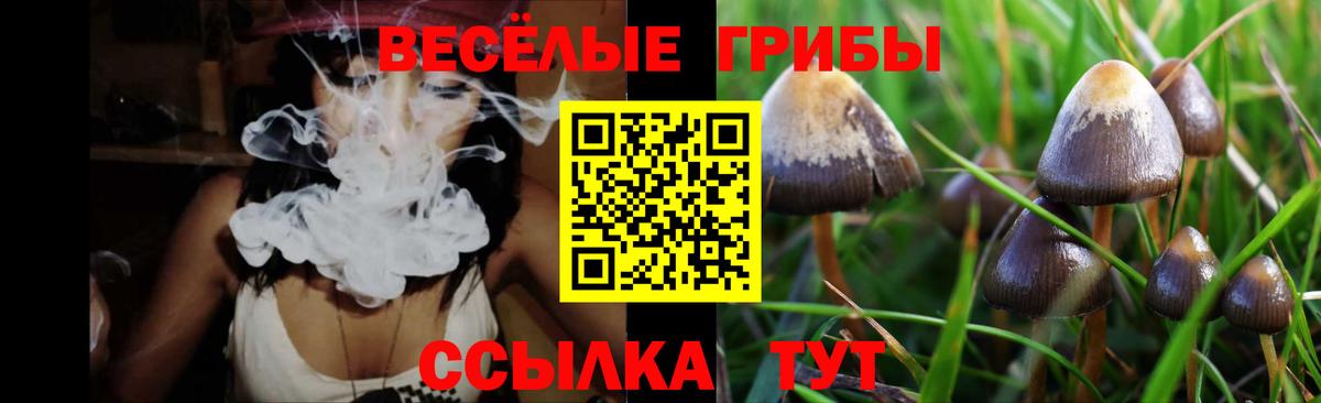 Курчатов  купить наркотики сайты  Вход с VPN  Галлюциногенные грибы Magic Shrooms 